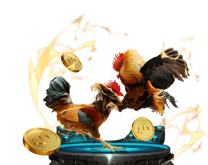 nn88win là gì và tính hợp pháp